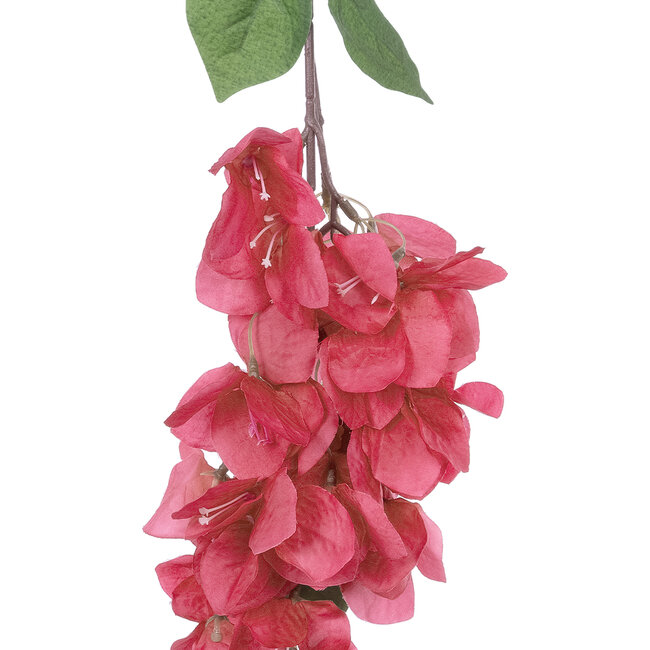 Artificial Garden BOUGAUVILLEA BRANCH 20658 Τεχνητό Διακοσμητικό Κλαδί Μπουκανβίλιας Φουξ Y80cm - 3