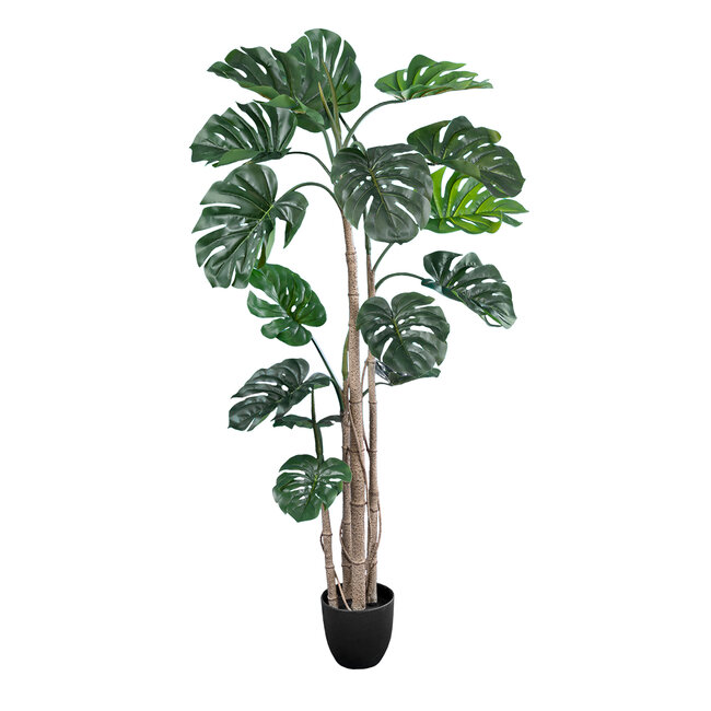 Artificial Garden MONSTERA 20006 Τεχνητό Διακοσμητικό Φυτό Μονστέρα Υ150cm - 2