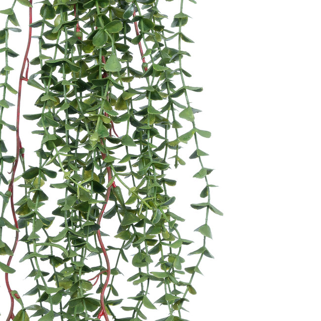 Artificial Garden EUCALYPTUS HANGING PLANT 20618 Τεχνητό Διακοσμητικό Κρεμαστό Φυτό Ευκάλυπτος Υ130cm Artificial Garden EUCALYPTUS HANGING PLANT 20618 Τεχνητό Διακοσμητικό Κρεμαστό Φυτό Ευκάλυπτος Υ130cm