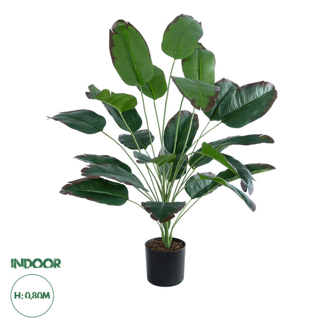 Artificial Garden OLD BANANA 20917 Διακοσμητικό Φυτό Ώριμη Μπανανιά Υ80cm