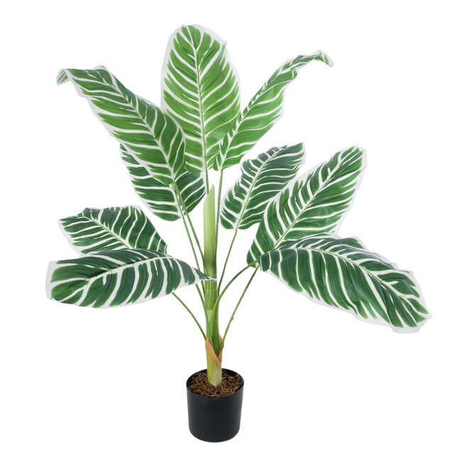 Artificial Garden WHITE ZEBRA 20943 Τεχνητό Διακοσμητικό Φυτό Λευκή Ζέβρα Υ90cm - 2