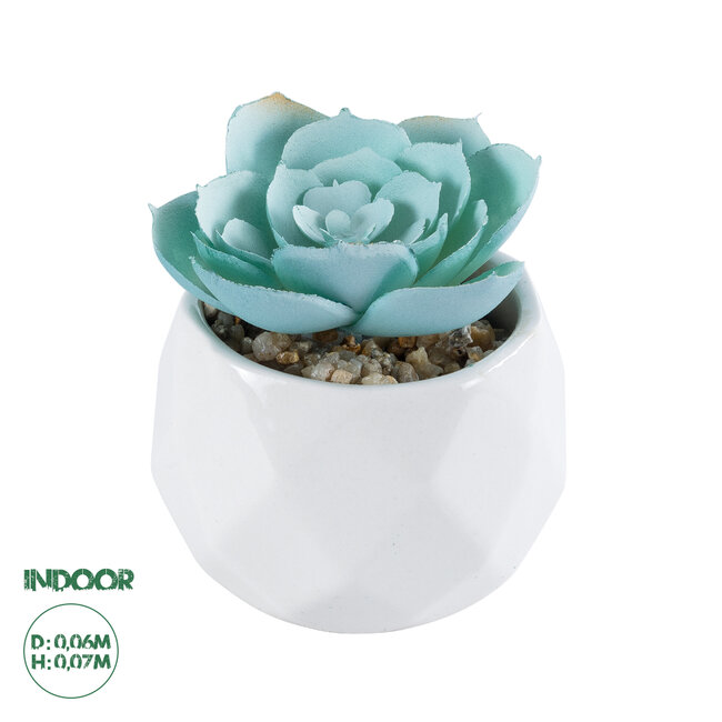 Artificial Garden SUCCULENT ECHEVERIA 20996 Διακοσμητικό Φυτό Παχύφυτο Εχεβέρια Υ7cm Artificial Garden SUCCULENT ECHEVERIA 20996 Διακοσμητικό Φυτό Παχύφυτο Εχεβέρια Υ7cm