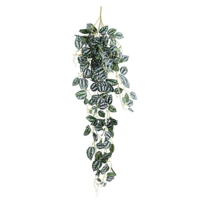 Artificial Garden SATIN POTHOS HANGING BRANCH 20242 Τεχνητό Διακοσμητικό Κρεμαστό Φυτό Ασημένια Άμπελός - Πόθος Υ120cm Artificial Garden SATIN POTHOS HANGING BRANCH 20242 Τεχνητό Διακοσμητικό Κρεμαστό Φυτό Ασημένια Άμπελός - Πόθος Υ120cm