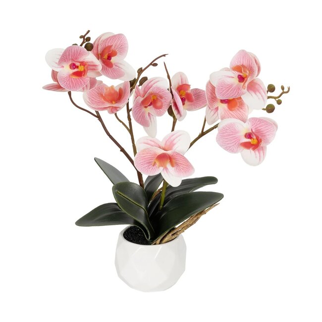 Artificial Garden PINK ORCHID 21075 Διακοσμητικό Φυτό Ροζ Ορχιδέα  Υ30cm