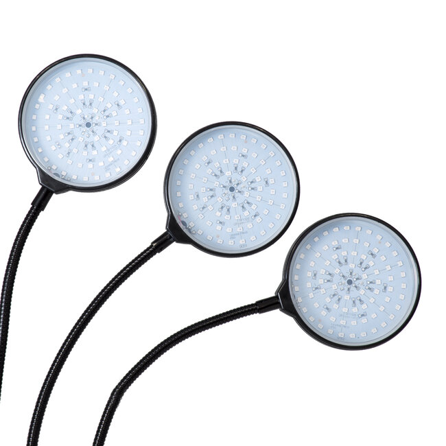 79652 Grow Light Full Spectrum LED Φωτιστικό Ανάπτυξης Φυτών Γλάστρας με 3 Κινούμενες Κεφαλές & Βάση Clip SMD 2835 15W 160° DC 5V IP20 με Dimmer & Timer Εσωτερικού Χώρου για Κάλυψη Επιφάνειας 1m x 1m Πλήρους Φάσματος Φωτισμού - 7