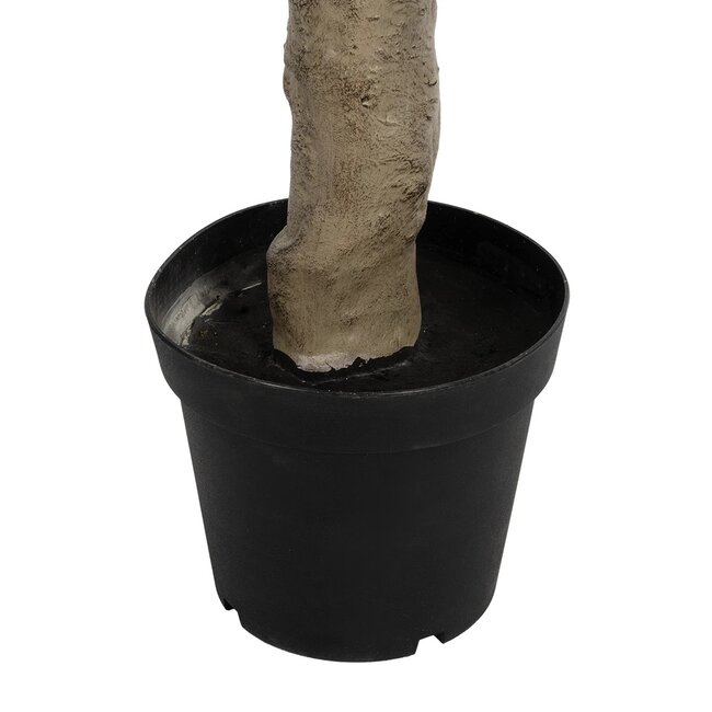 Artificial Garden OLIVE TREE 21112 Τεχνητό Διακοσμητικό Δέντρο Ελιά Υ220cm - 5