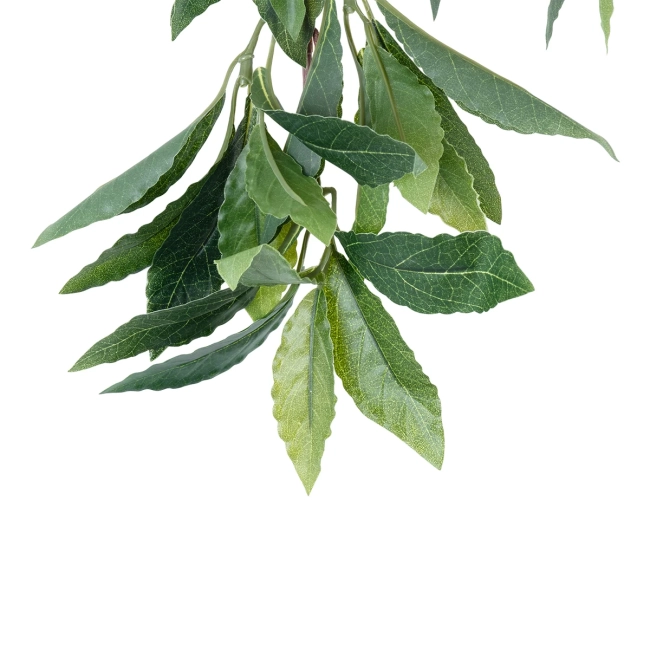 Artificial Garden LAURUS NOBILIS BRANCH 20225 10 x Τεχνητά Διακοσμητικά Κλαδία Δάφνης Π45 x Υ60cm - 5