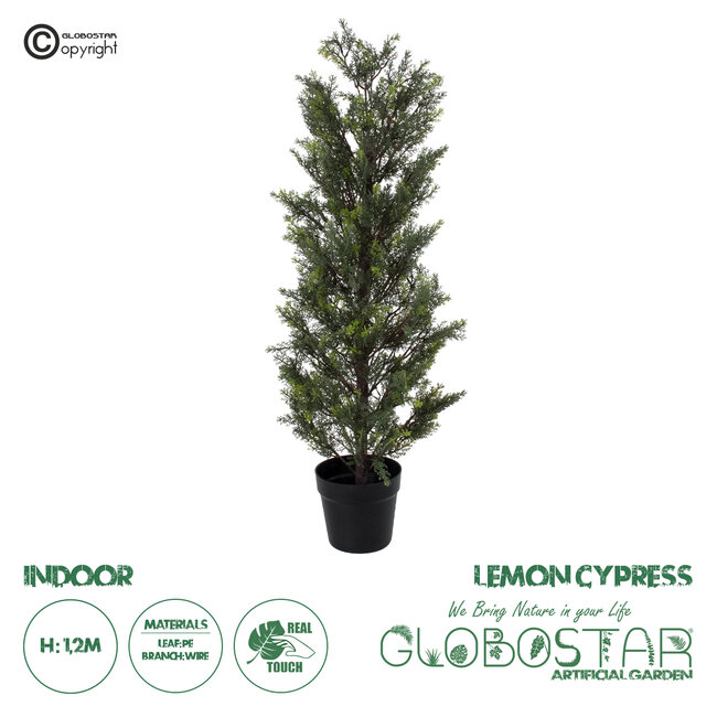 Artificial Garden LEMON CYPRESS 20151 Τεχνητό Διακοσμητικό Φυτό Λεμονόκυπάρισσο Υ120cm
