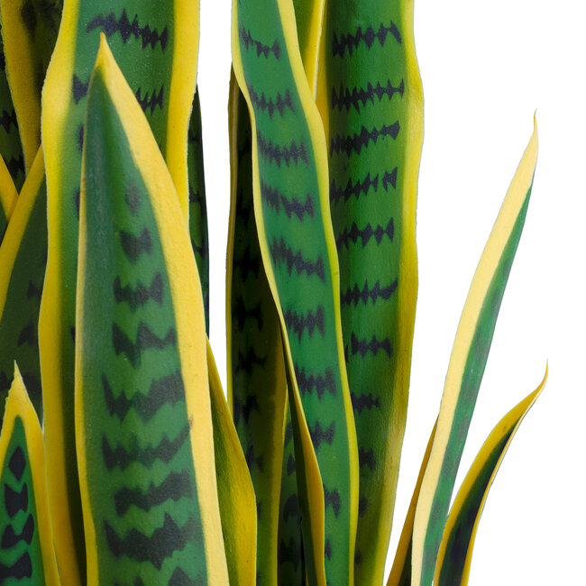 Artificial Garden BLOODLEAF DRACAENA TRIFASCIATA 20062 Τεχνητό Διακοσμητικό Φυτό Αιματόφυλλη Σανσεβιέρια Υ100cm Artificial Garden BLOODLEAF DRACAENA TRIFASCIATA 20062 Τεχνητό Διακοσμητικό Φυτό Αιματόφυλλη Σανσεβιέρια Υ100cm