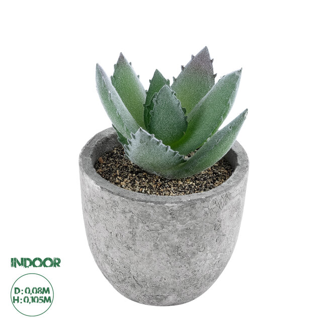 Artificial Garden SUCCULENT ALOE 21026 Διακοσμητικό Φυτό Παχύφυτο Αλόη Υ10.5cm Artificial Garden SUCCULENT ALOE 21026 Διακοσμητικό Φυτό Παχύφυτο Αλόη Υ10.5cm