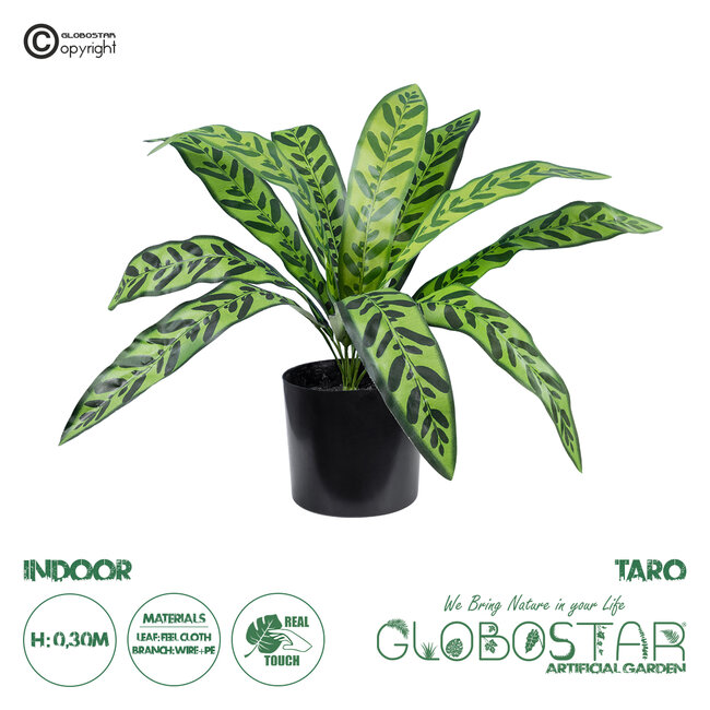 Artificial Garden TARO 20082 Τεχνητό Διακοσμητικό Φυτό Κολοκασία Υ30cm