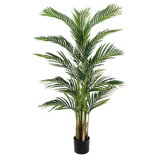 Artificial Garden ARECA PALM TREE 20419 Τεχνητό Διακοσμητικό Φυτό Φοινικόδεντρο Αρέκα Υ150cm Artificial Garden ARECA PALM TREE 20419 Τεχνητό Διακοσμητικό Φυτό Φοινικόδεντρο Αρέκα Υ150cm
