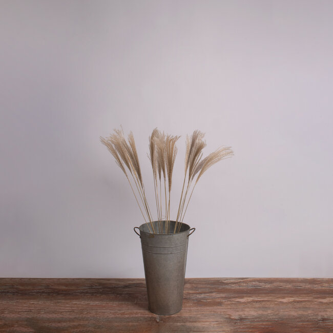 MISCANTHUS 36537 Αποξηραμένο Φυτό Μίσχανθος - Μπουκέτο Διακοσμητικών Κλαδιών Μπεζ Υ100cm