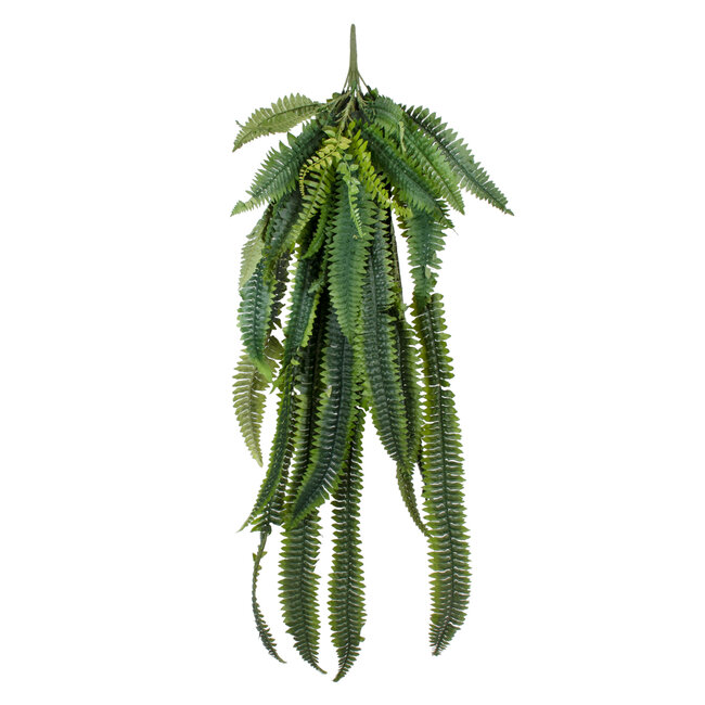 Artificial Garden FERN HANGING BRANCH 20247 Τεχνητό Διακοσμητικό Κρεμαστό Φυτό Φτέρη Υ120cm Artificial Garden FERN HANGING BRANCH 20247 Τεχνητό Διακοσμητικό Κρεμαστό Φυτό Φτέρη Υ120cm