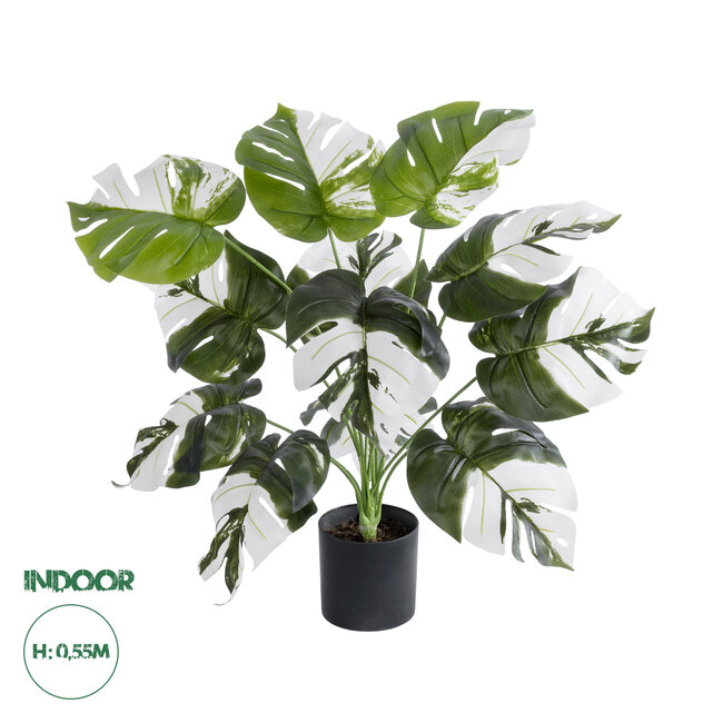 Artificial Garden ALBINO MONSTERA 20935 Διακοσμητικό Φυτό Λευκή Μονστέρα Υ55cm