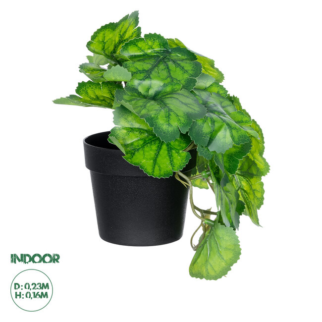 Artificial Garden GREEN BEGONIA PLANT 20949 Διακοσμητικό Φυτό Πράσινη Μπιγόνια Φ23 x Υ16cm Artificial Garden GREEN BEGONIA PLANT 20949 Διακοσμητικό Φυτό Πράσινη Μπιγόνια Φ23 x Υ16cm