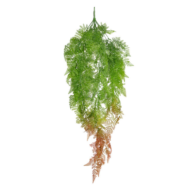 Artificial Garden HANGING FERN 20805 Τεχνητό Διακοσμητικό Κρεμαστό Φυτό Φτέρη Μ40 x Π20 x Υ88cm Artificial Garden HANGING FERN 20805 Τεχνητό Διακοσμητικό Κρεμαστό Φυτό Φτέρη Μ40 x Π20 x Υ88cm