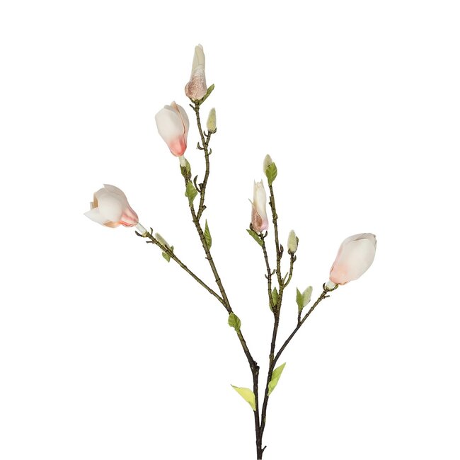 Artificial Garden CHAMPAGNE MAGNOLIA BRANCH 21423 Τεχνητό Διακοσμητικό Κλαδί Σαμπανί Μαγνόλια Y100cm