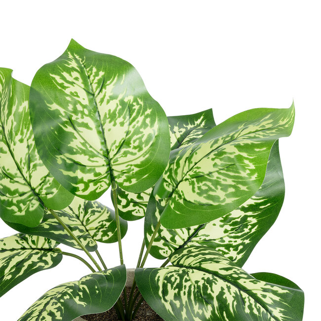 Artificial Garden DIEFFENBACHIA POTTED PLANT 20897 Διακοσμητικό Φυτό Διεφενμπάχια Φ40 x Υ33cm - 3