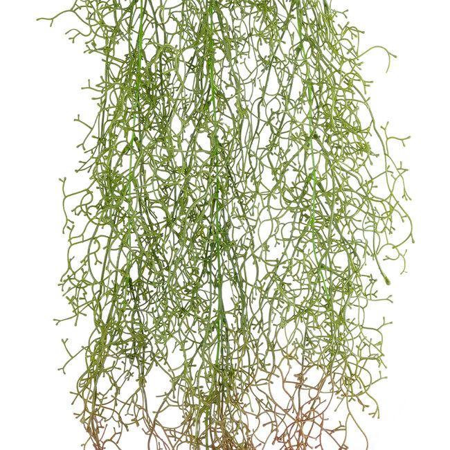 Artificial Garden HANGING AIR GRASS 20817 Τεχνητό Διακοσμητικό Κρεμαστό Φυτό Air Grass Μ22 x Π10 x Υ91cm Artificial Garden HANGING AIR GRASS 20817 Τεχνητό Διακοσμητικό Κρεμαστό Φυτό Air Grass Μ22 x Π10 x Υ91cm
