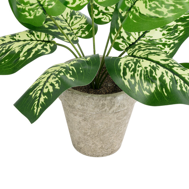 Artificial Garden DIEFFENBACHIA POTTED PLANT 20897 Διακοσμητικό Φυτό Διεφενμπάχια Φ40 x Υ33cm - 4