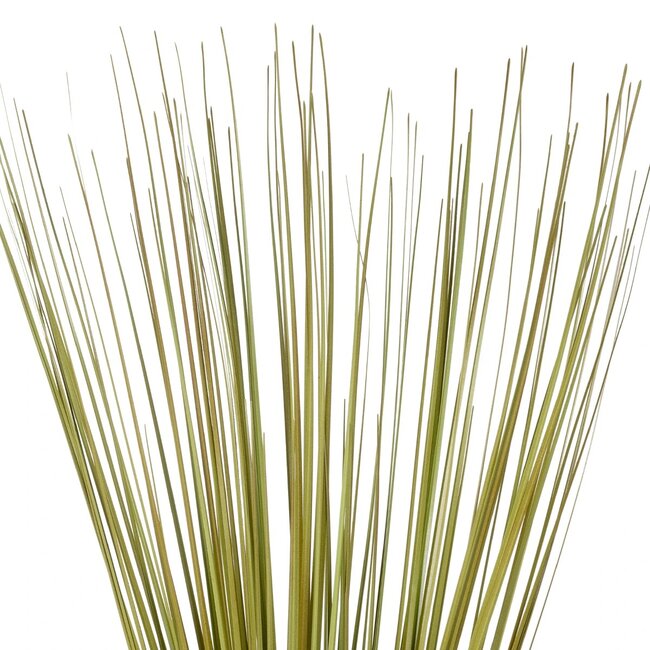 Artificial Garden GREEN GRASS BOUQUET 21164 Τεχνητό Διακοσμητικό Μπουκέτο Grass Πράσινο Y90cm
