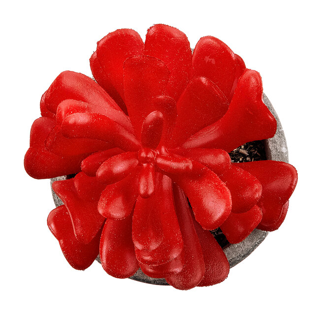 Artificial Garden SUCCULENT CRASSULA 21013 Διακοσμητικό Φυτό Παχύφυτο Κράσουλα Υ11.5cm Artificial Garden SUCCULENT CRASSULA 21013 Διακοσμητικό Φυτό Παχύφυτο Κράσουλα Υ11.5cm