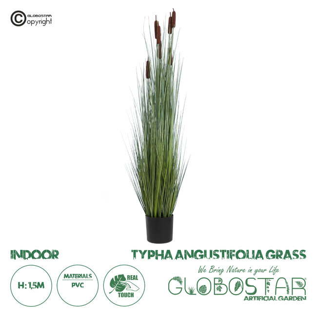 Artificial Garden TYPHA ANGUSTIFOLIA GRASS 20113 Τεχνητό Διακοσμητικό Φυτό Γρασίδι της Τύφας Υ150cm Artificial Garden TYPHA ANGUSTIFOLIA GRASS 20113 Τεχνητό Διακοσμητικό Φυτό Γρασίδι της Τύφας Υ150cm