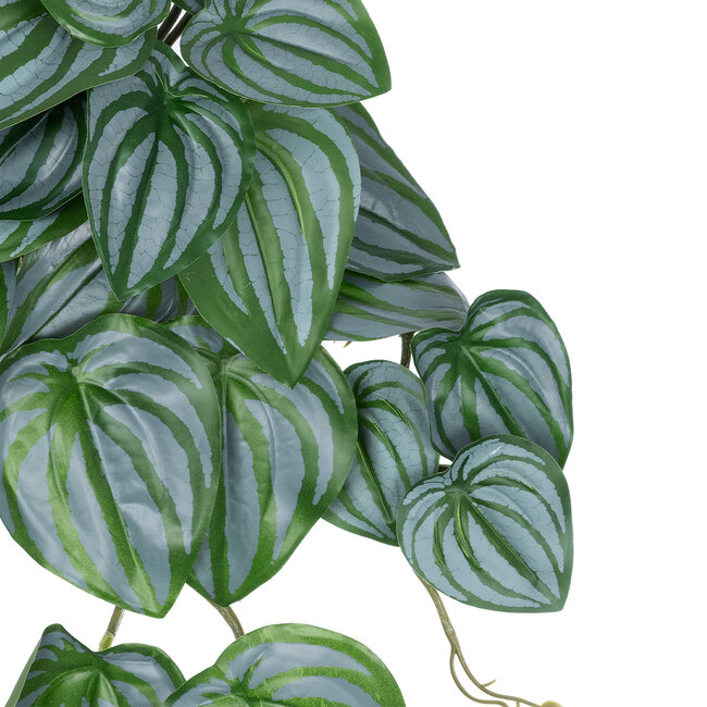 Artificial Garden PEPEROMIA HANGING PLANT 20603 Τεχνητό Διακοσμητικό Κρεμαστό Φυτό Πεπερόμια Υ45cm Artificial Garden PEPEROMIA HANGING PLANT 20603 Τεχνητό Διακοσμητικό Κρεμαστό Φυτό Πεπερόμια Υ45cm