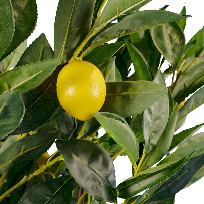 Artificial Garden LEMON TREE 20214 Τεχνητό Διακοσμητικό Δέντρο Λεμονιά Υ165cm Artificial Garden LEMON TREE 20214 Τεχνητό Διακοσμητικό Δέντρο Λεμονιά Υ165cm