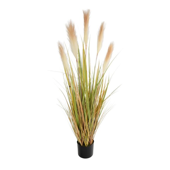 Artificial Garden PAMPAS GRASS 21477 Τεχνητό Διακοσμητικό Φυτό Παμπας Υ120cm Artificial Garden PAMPAS GRASS 21477 Τεχνητό Διακοσμητικό Φυτό Παμπας Υ120cm
