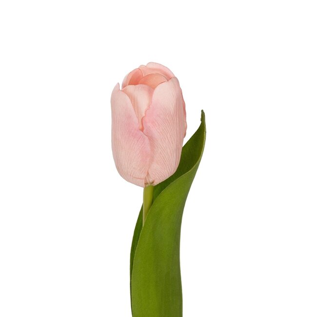 Artificial Garden PINK TULIP BRANCH 21200 Τεχνητό Διακοσμητικό Κλαδί Ροζ Τουλίπα Y37cm