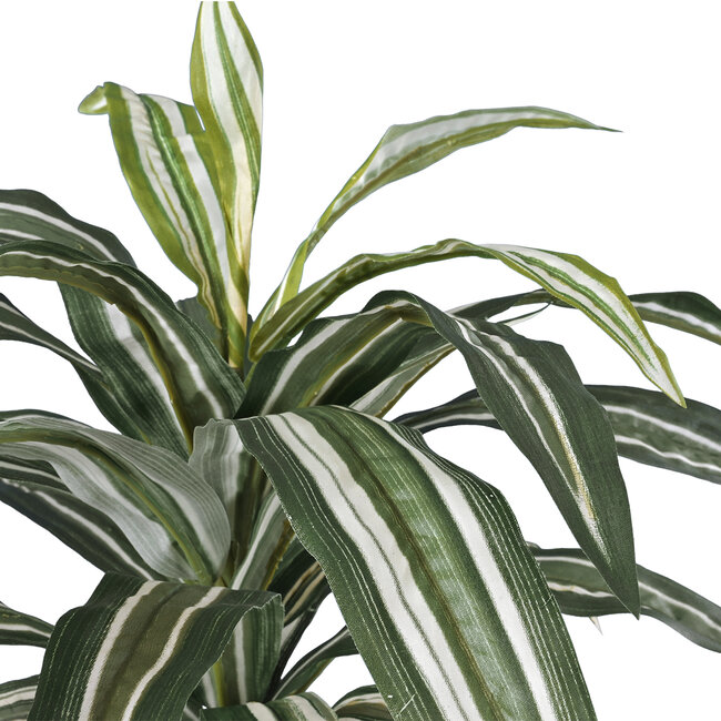 Artificial Garden BRAZILIAN IRON 20083 Τεχνητό Διακοσμητικό Φυτό Αρωματική Δράκαινα Υ30cm