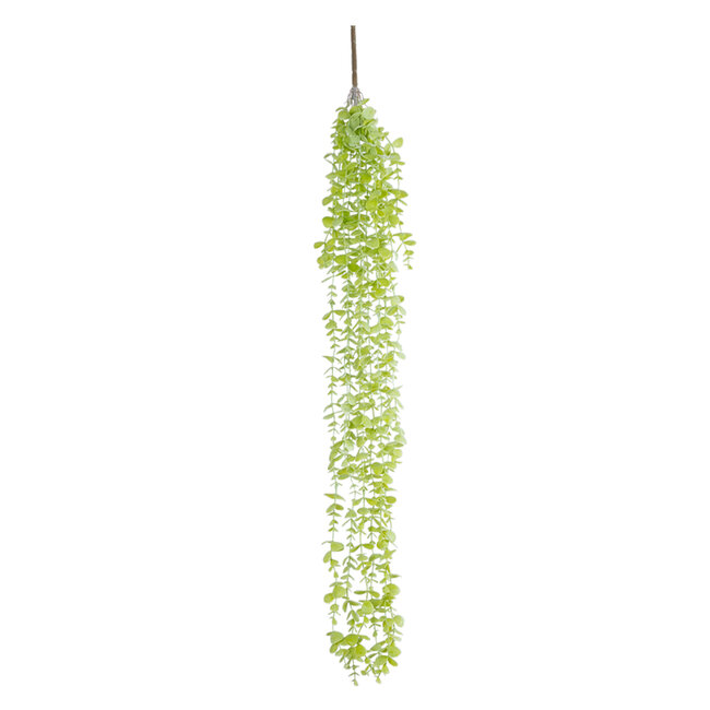 Artificial Garden HANGING EUCALYPTUS 20811 Τεχνητό Διακοσμητικό Κρεμαστό Φυτό Ευκάλυπτος Μ16 x Π9 x Υ105cm Artificial Garden HANGING EUCALYPTUS 20811 Τεχνητό Διακοσμητικό Κρεμαστό Φυτό Ευκάλυπτος Μ16 x Π9 x Υ105cm