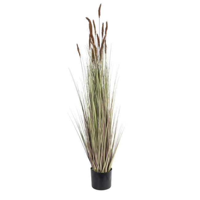 Artificial Garden BROWN LAGURUS 21101 Διακοσμητικό Φυτό Καφέ Λαγοουρά Υ140cm Artificial Garden BROWN LAGURUS 21101 Διακοσμητικό Φυτό Καφέ Λαγοουρά Υ140cm