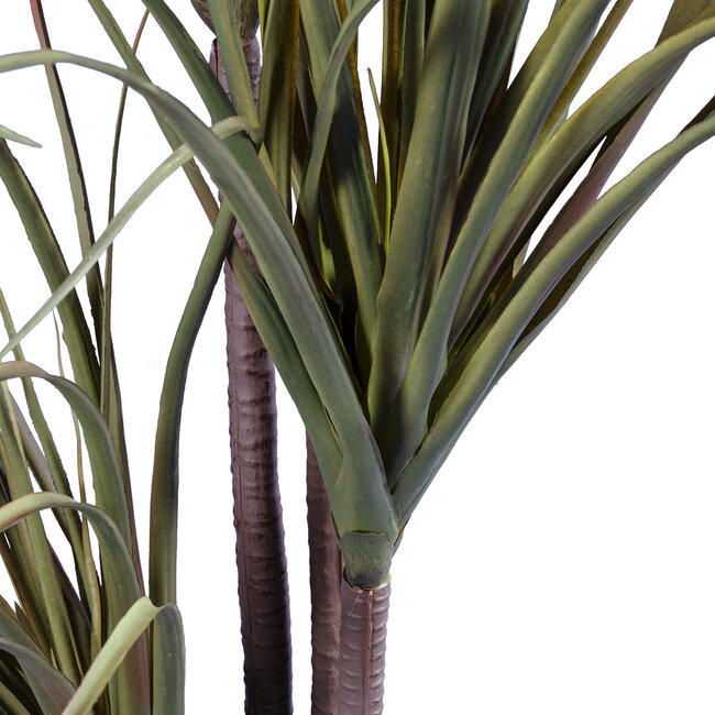 Artificial Garden DRAGON BLOOD TREE 20015 Τεχνητό Διακοσμητικό Φυτό Δράκαινα Υ150cm Artificial Garden DRAGON BLOOD TREE 20015 Τεχνητό Διακοσμητικό Φυτό Δράκαινα Υ150cm