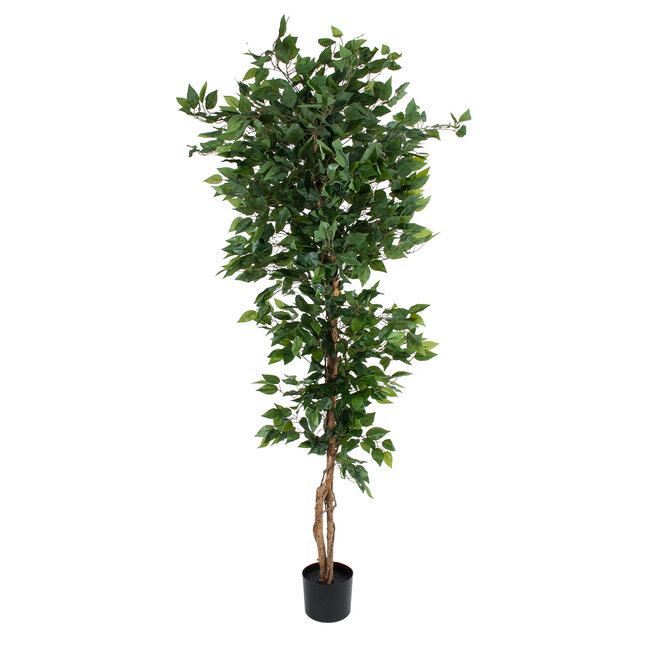 Artificial Garden FICUS BENJAMINA TREE 20416 Τεχνητό Διακοσμητικό Φυτό Φίκος Μπενζαμίνη Υ180cm