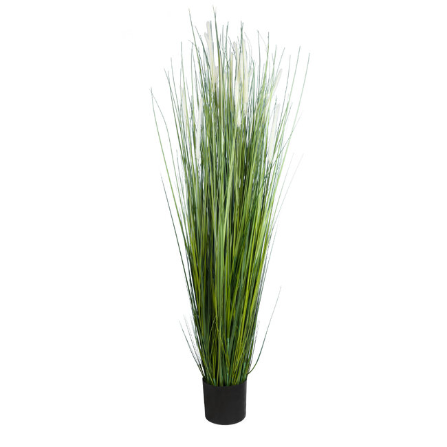 Artificial Garden SACCHARUM 20104 Τεχνητό Διακοσμητικό Φυτό Ζαχαροκάλαμο Υ150cm Artificial Garden SACCHARUM 20104 Τεχνητό Διακοσμητικό Φυτό Ζαχαροκάλαμο Υ150cm