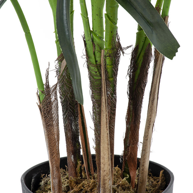 Artificial Garden BROADLEAF LADY PALM TREE 20386 Τεχνητό Διακοσμητικό Φυτό Πλατύφυλλος Φοίνικας Μπαμπού Υ120cm - 4