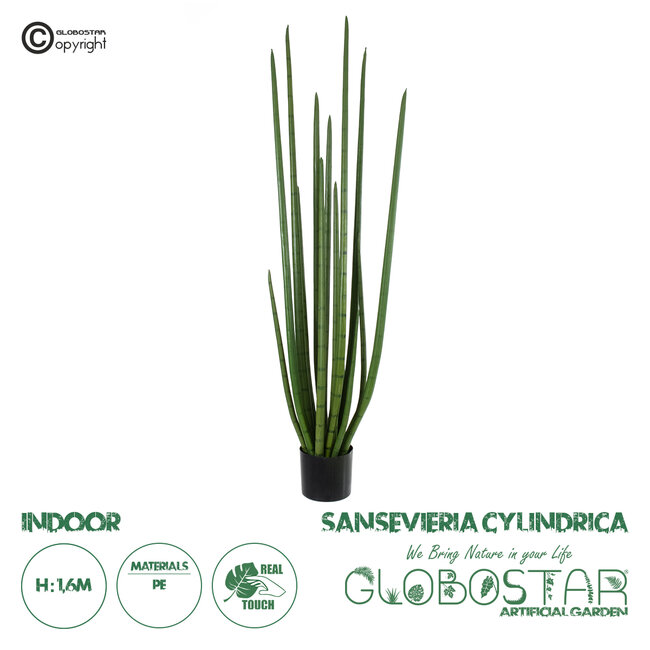 Artificial Garden SANSEVIERIA CYLINDRICA 20211 Τεχνητό Διακοσμητικό Φυτό Σανσεβιέρια Υ160cm