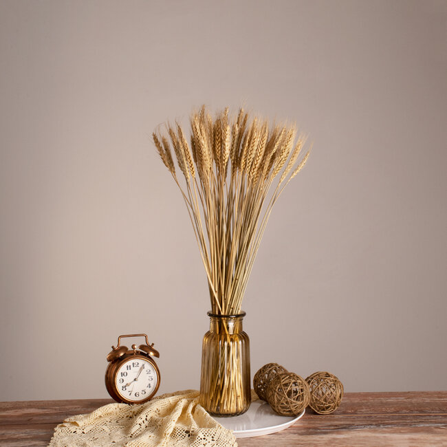 Αποξηραμένα