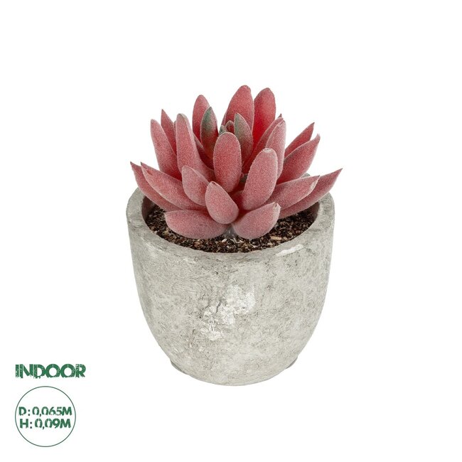 Artificial Garden SUCCULENT SEDEVERIA 21020 Τεχνητό Διακοσμητικό Φυτό Σεδεβέρια Μ6.5 x Π6.5 x Υ9cm