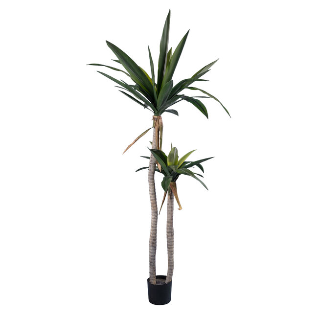 Artificial Garden AGAVE 20045 Τεχνητό Διακοσμητικό Φυτό Αγαύη Υ172cm - 2