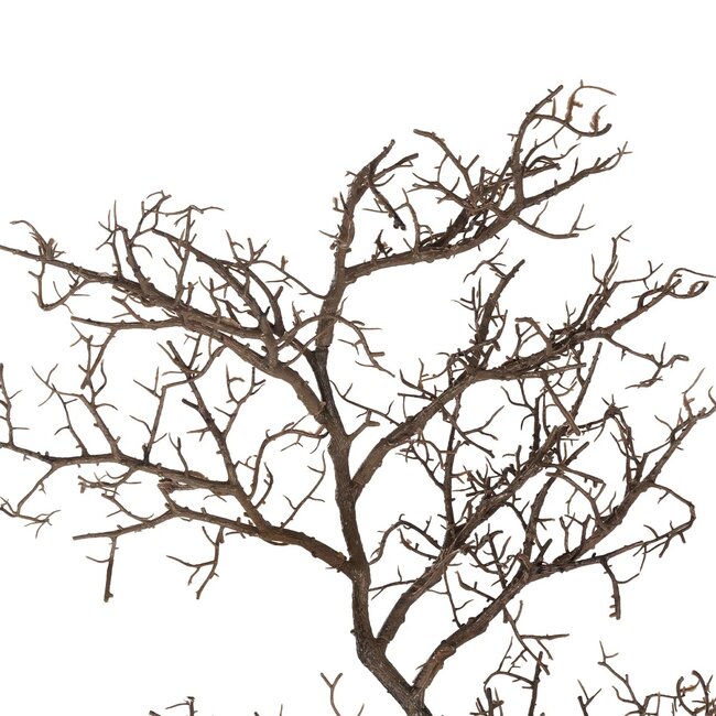 Artificial Garden EXTRA LARGE CORAL BRANCH 21464 Τεχνητό Διακοσμητικό Κλαδί Koράλι Y110cm