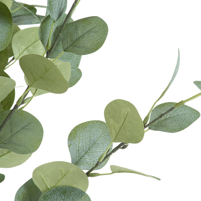 Artificial Garden EUCALYPTUS 20189 Τεχνητό Διακοσμητικό Φυτό Ευκάλυπτος Υ120cm Artificial Garden EUCALYPTUS 20189 Τεχνητό Διακοσμητικό Φυτό Ευκάλυπτος Υ120cm