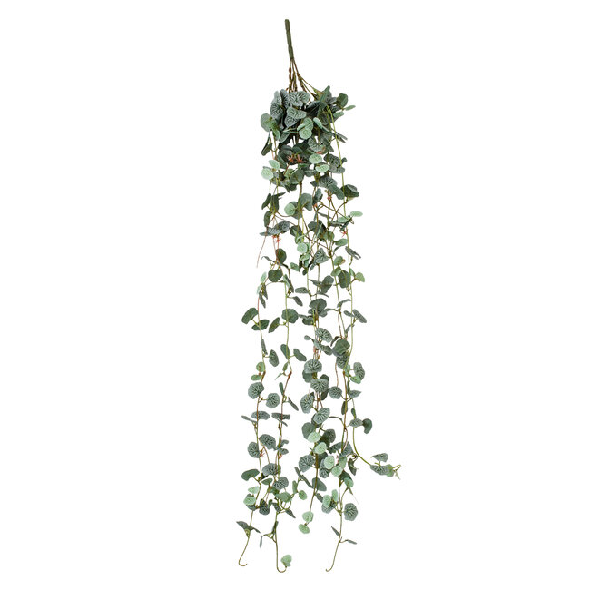 Artificial Garden EUCALYPTUS HANGING BRANCH 20235 Τεχνητό Διακοσμητικό Κρεμαστό Φυτό Ευκάλυπτος Υ75cm - 2