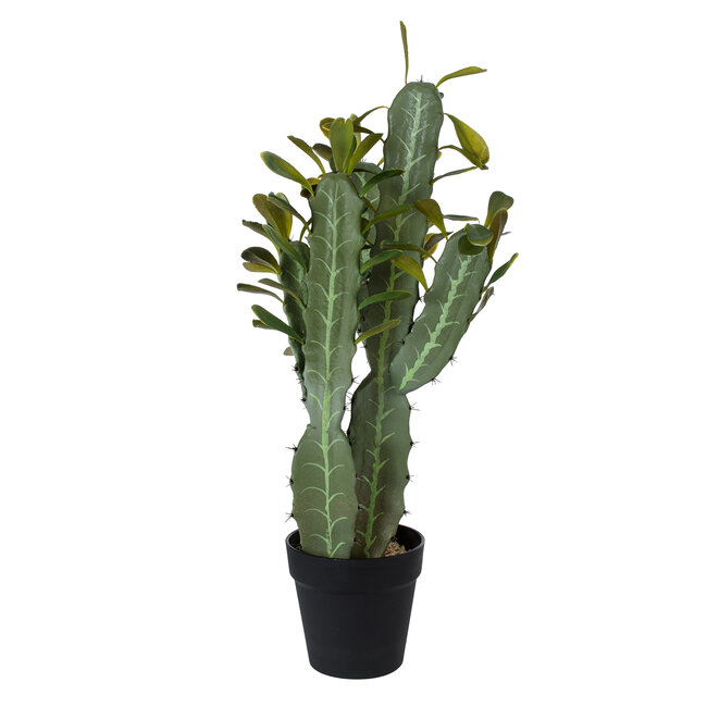Artificial Garden CEREUS JAMACARU CACTUS 20102 Τεχνητό Διακοσμητικό Φυτό Κάκτος Κηρίος Υ62cm Artificial Garden CEREUS JAMACARU CACTUS 20102 Τεχνητό Διακοσμητικό Φυτό Κάκτος Κηρίος Υ62cm