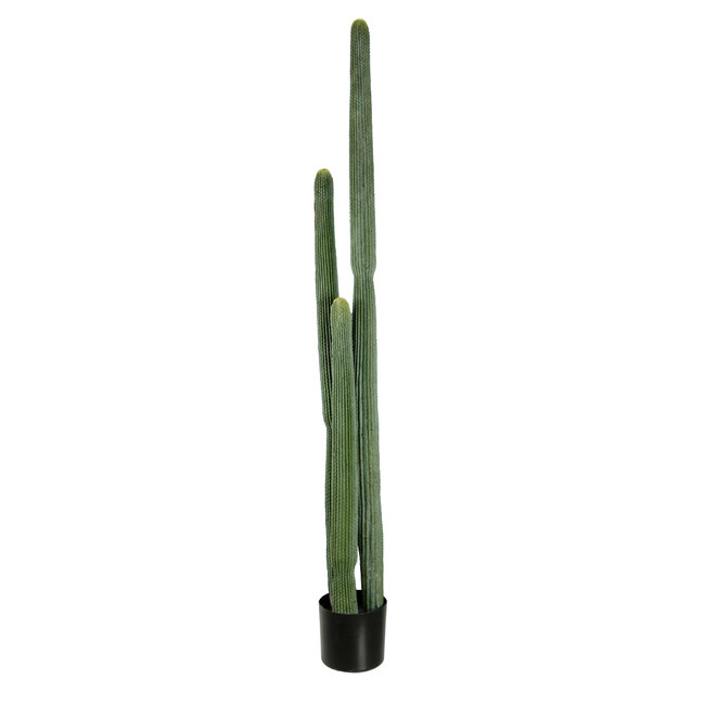 Artificial Garden CARNEGIEA CACTUS 20123 Τεχνητό Διακοσμητικό Φυτό Κάκτος Σαγκουάρο Υ160cm Artificial Garden CARNEGIEA CACTUS 20123 Τεχνητό Διακοσμητικό Φυτό Κάκτος Σαγκουάρο Υ160cm