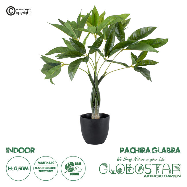 Artificial Garden PACHIRA GLABRA 20428 Τεχνητό Διακοσμητικό Φυτό Παχίρα της Τύχης Υ50cm Artificial Garden PACHIRA GLABRA 20428 Τεχνητό Διακοσμητικό Φυτό Παχίρα της Τύχης Υ50cm