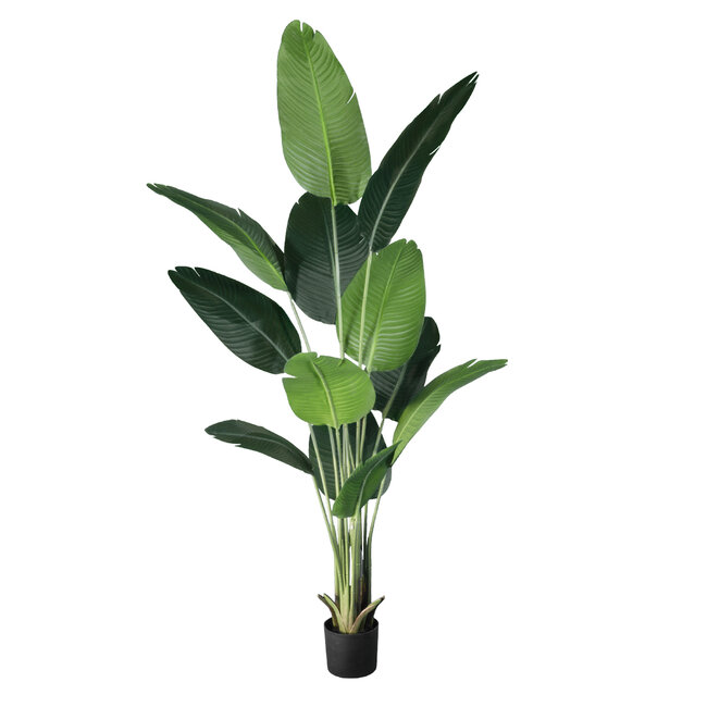 Artificial Garden STRELITZIA 20026 Τεχνητό Διακοσμητικό Φυτό  Στρελίτσια - Πουλί του Παραδείσου Υ180cm - 2